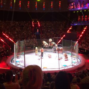 Great Moscow State Circus
